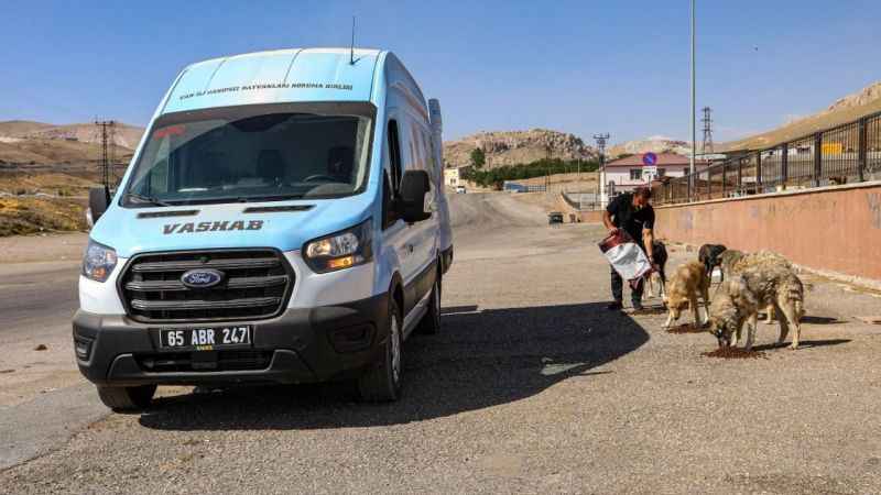 Van Sahipsiz Hayvanlar Birliği sokak hayvanları için çalışıyor