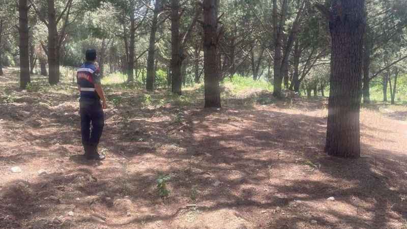 Jandarma ekipleri orman yangınlarına karşı teyakkuzda