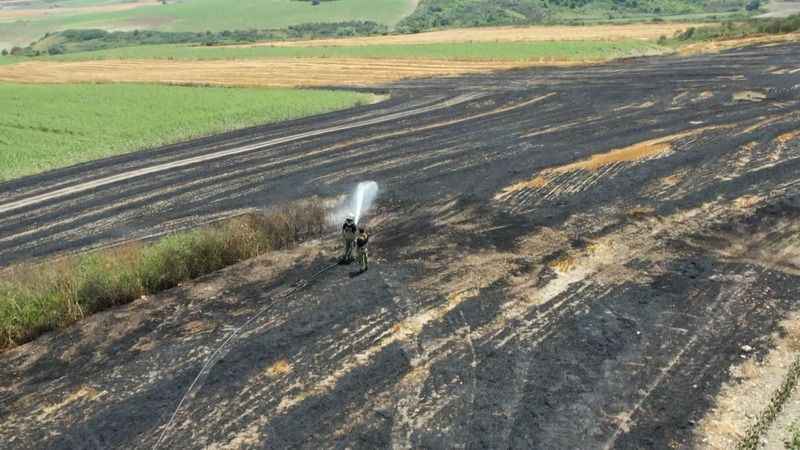 Arnavutköy’de 20 dönüm buğday tarlası küle döndü