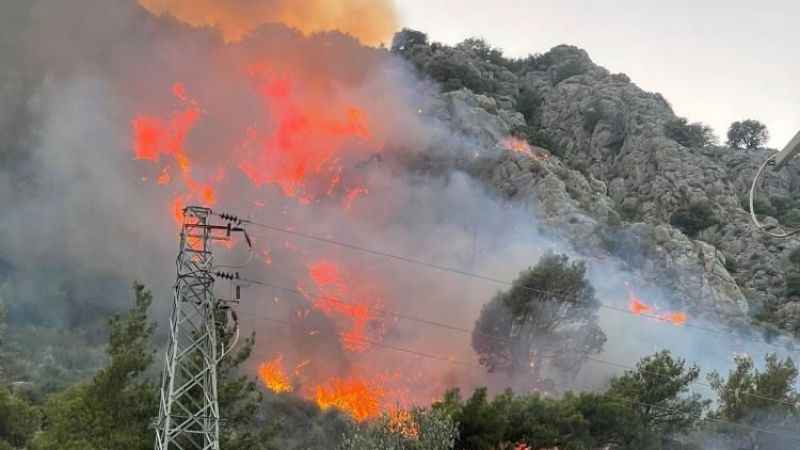 Muğla Seydikemer’de orman yangını