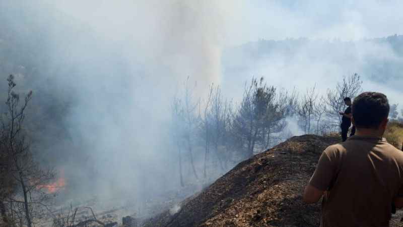 İzmir'de iki orman yangını birden başladı