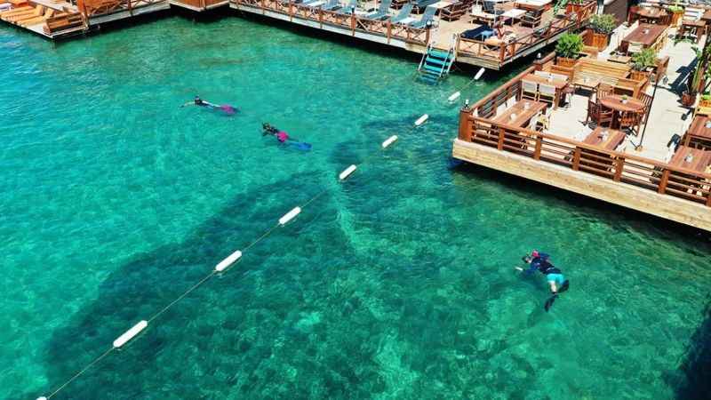 Bilinçsiz dalış omurilik travmasına neden olabilir