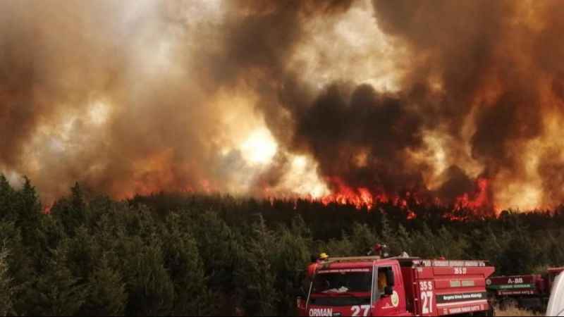 İzmir'de iki ilçede alevlerle mücadele sürüyor