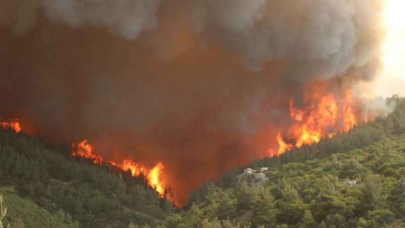 Bakan Yumaklı: "Kınık'taki orman yangını kontrol altında"