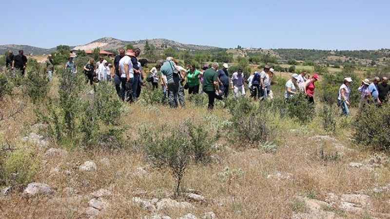 Kaya resimlerine büyük ilgi