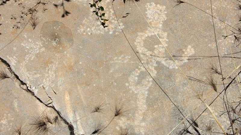 Kaya resimlerine büyük ilgi