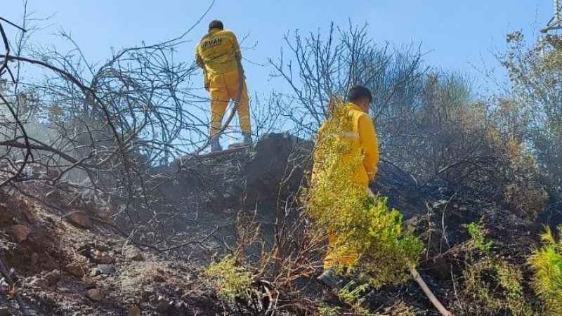 Osmaniye'de orman yangını, büyümeden söndürüldü