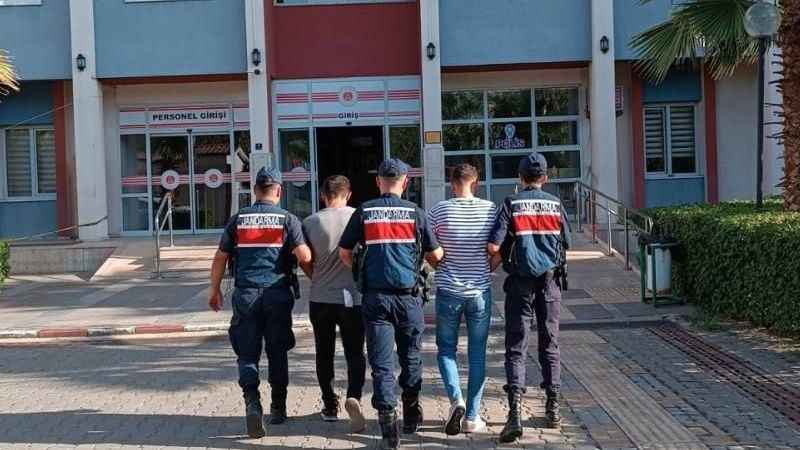 Zeytinyağı hırsızları, kıskıvrak yakalandı