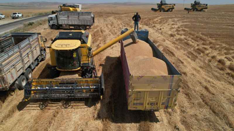 Ankara’nın tahıl ambarında hasat zamanı