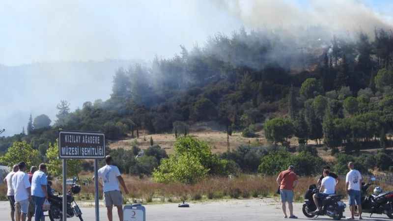 Çanakkale’de orman yangını kontrol altına alındı