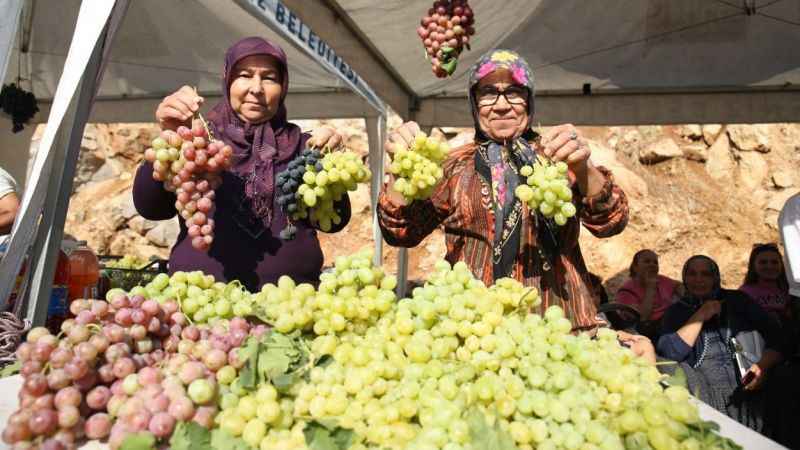 Mersin'de Üzüm Şenliği coşkusu Mersin'de Üzüm Şenliği coşkusu