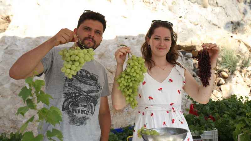 Mersin'de Üzüm Şenliği coşkusu Mersin'de Üzüm Şenliği coşkusu