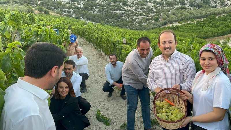 Mersin'de Üzüm Şenliği coşkusu