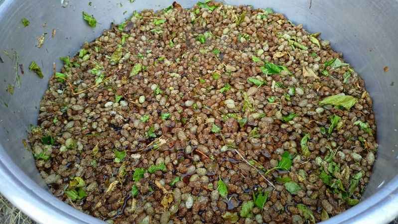 Arapgir’de dut pekmezi geleneği sürdürülüyor