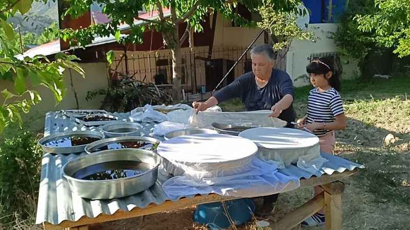 Arapgir’de dut pekmezi geleneği sürdürülüyor