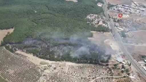 İzmir’de orman yangını
