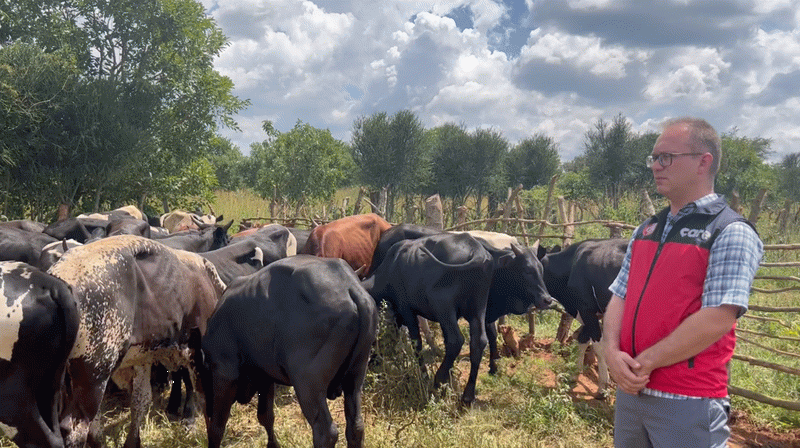 Çare Derneği'nden Dünyanın Dört Bir Yanına: “Paylaş, Bayram Olsun!"
