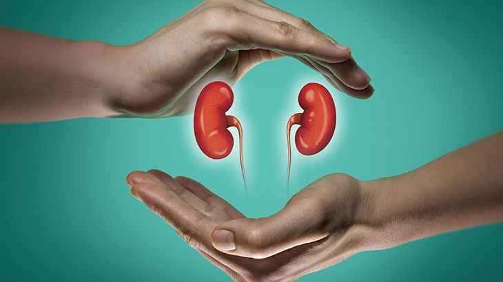 Böbrekleri temizleyen besinler! 