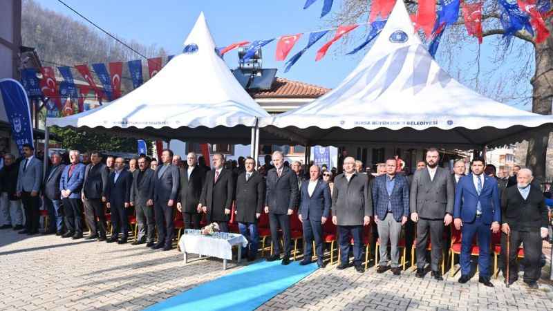 Bursa'da çiftçilere kestane fidanı desteği