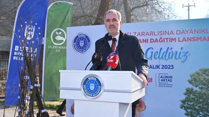 Bursa'da çiftçilere kestane fidanı desteği