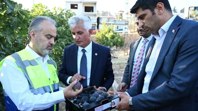 Bursa Büyükşehir, çiftçiye destek oluyor