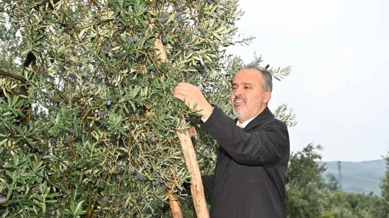 Bursa Büyükşehir, çiftçiye destek oluyor