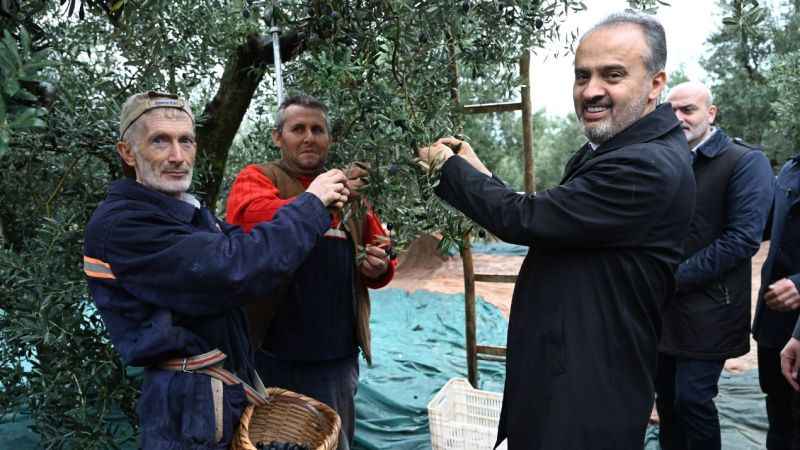 Bursa Büyükşehir, çiftçiye destek oluyor