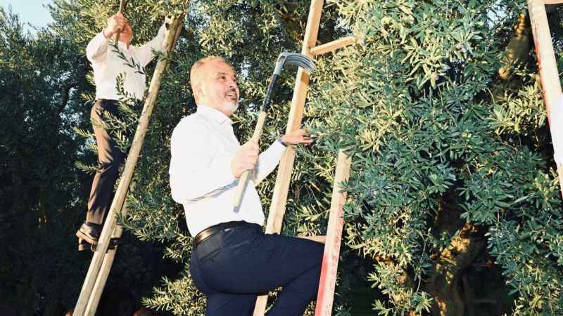 Bursa Büyükşehir, çiftçiye destek oluyor