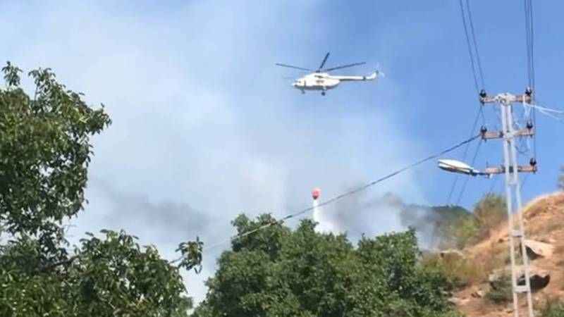 Çankırı'da orman yangını