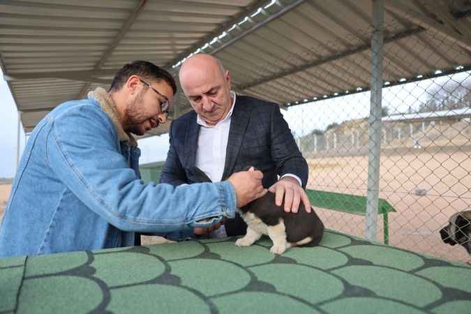 Sokak hayvanlarına yepyeni bir doğal yaşam alanı