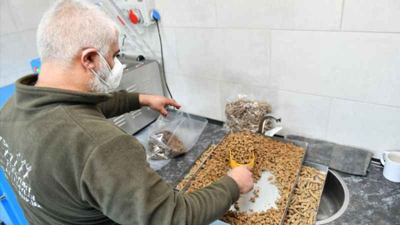 Esenyurt Belediyesi, sokak hayvanları için mama üretiyor