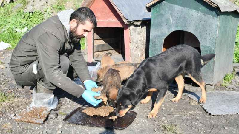 Esenyurt Belediyesi, sokak hayvanları için mama üretiyor
