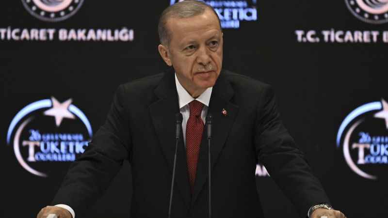 Cumhurbaşkanı Erdoğan: "12'nci Kalkınma Planımızı tamamladık"