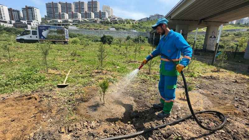 Başakşehir’in ‘Fidan Üretim Merkezi’ Türkiye’ye nefes olacak