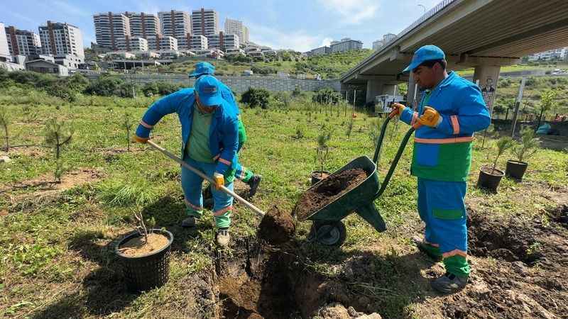Başakşehir’in ‘Fidan Üretim Merkezi’ Türkiye’ye nefes olacak