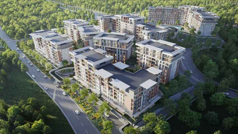 Zeray, halka arz için SPK’ya başvurdu