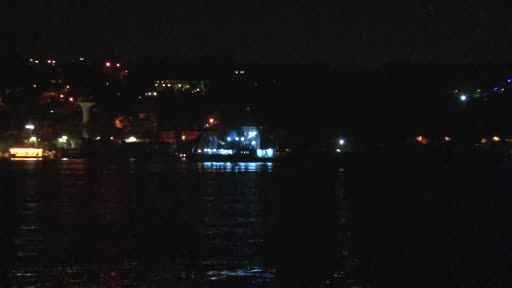 Ukrayna tahılını taşıyan ‘Resilient Africa’ isimli gemi İstanbul Boğazı’nda