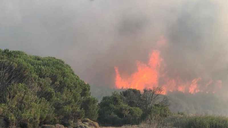 Gökçeada’daki orman yangını kontrol altına alındı