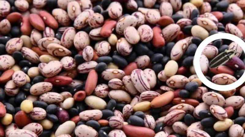 Gözlerinize güveniyor musunuz? Muhteşem algı yeteneği gerekiyor!