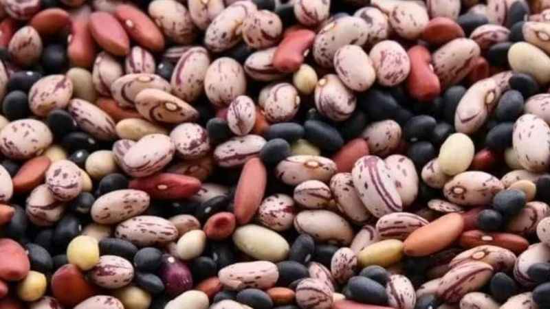 Gözlerinize güveniyor musunuz? Muhteşem algı yeteneği gerekiyor!