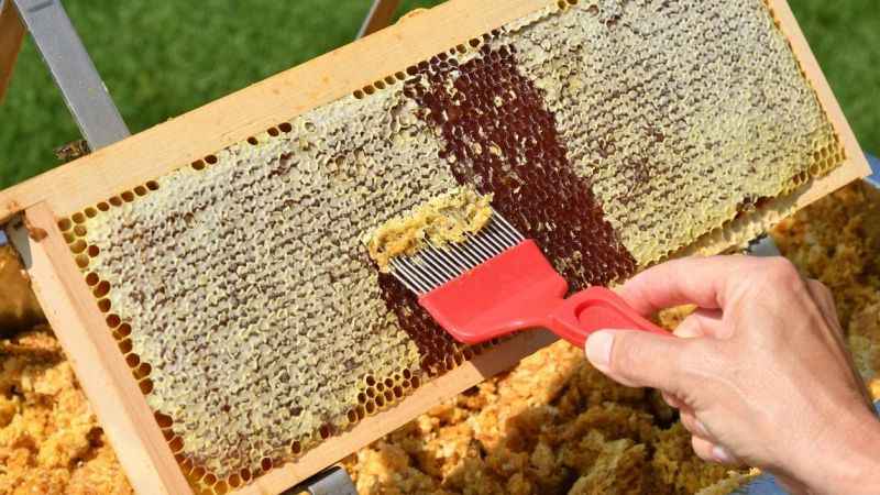 Sivilce ve aknelere arı zehri ve propolis