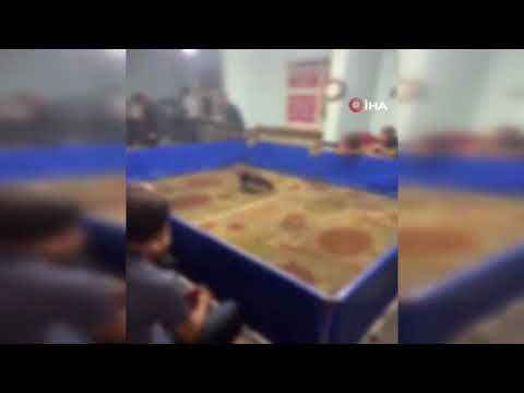 Dernekte horoz dövüşüne baskın