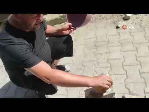 Kahramanmaraş’ta bir vatandaş taş üzerinde yumurta pişirdi