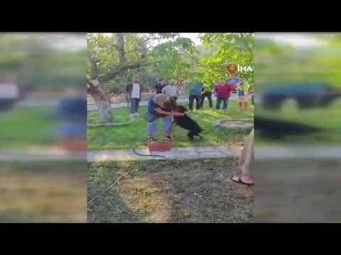 Tina ile Angela kavuştu