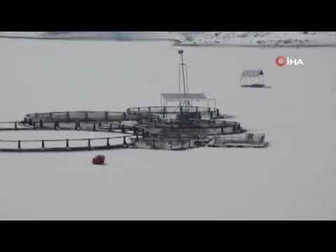 Tercan Baraj Gölü dondu