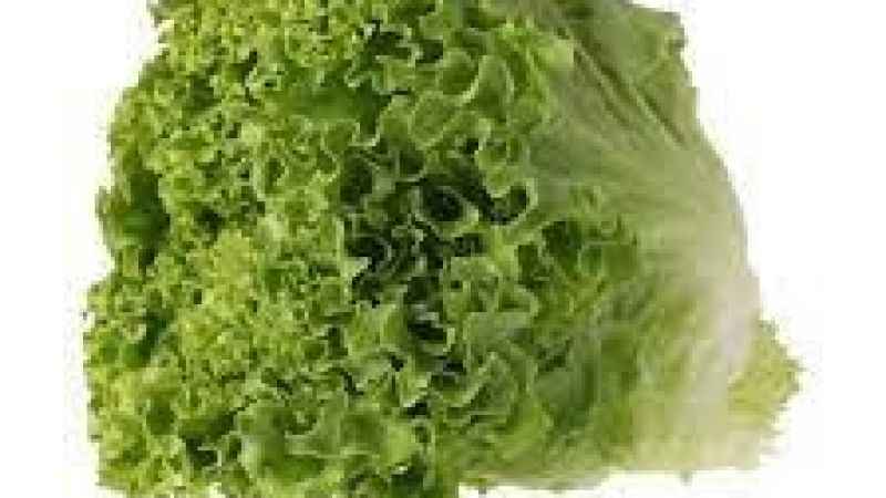 İşte kıvırcığın uzun süre saklanabileceği tüyolar