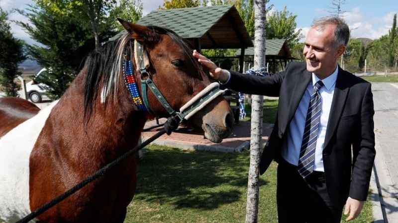 İnegöl'de evcil dostlar güvende