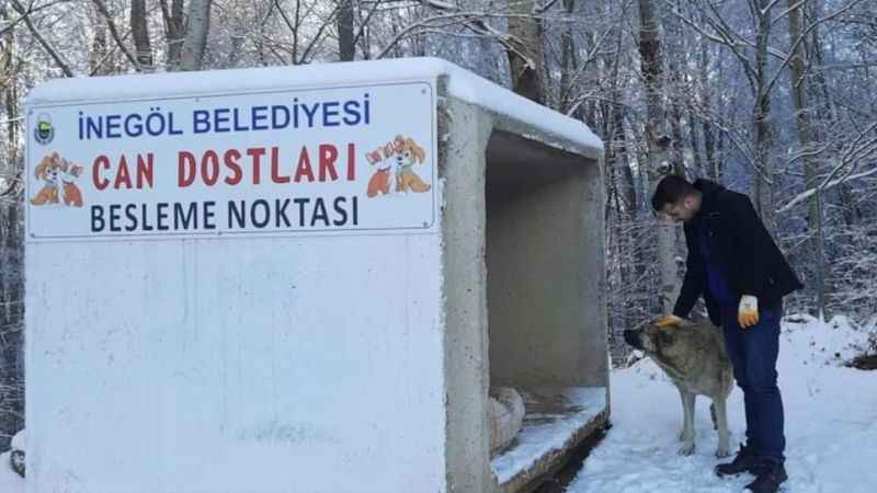 İnegöl'de evcil dostlar güvende