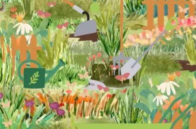 9 saniyeniz var.. Görseldeki iki böceği bulanların IQ puanı 130'un üstünde çıkıyor