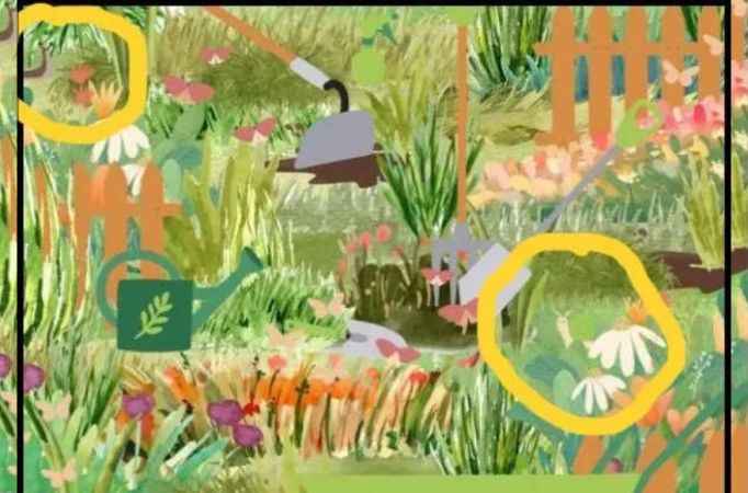 9 saniyeniz var.. Görseldeki iki böceği bulanların IQ puanı 130'un üstünde çıkıyor